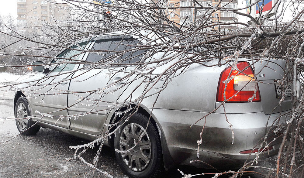 Упала ветка на машину