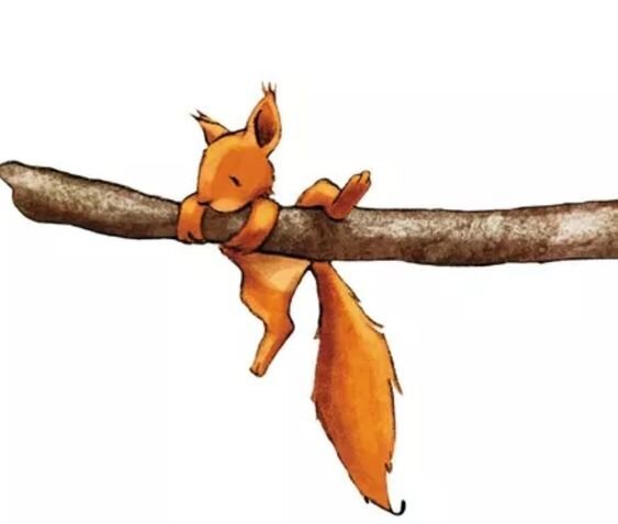 Белочка застряла...