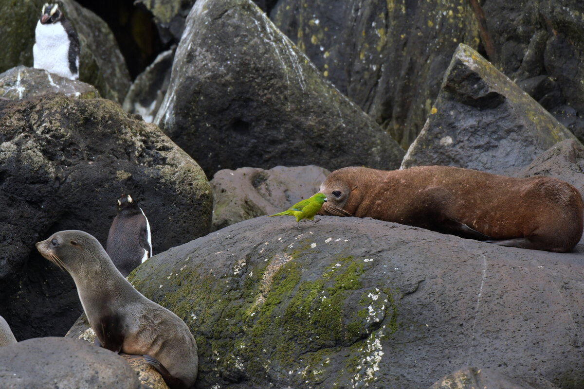 Сразу видно, кто здесь главный.