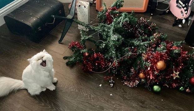 Скоро во многих домах России