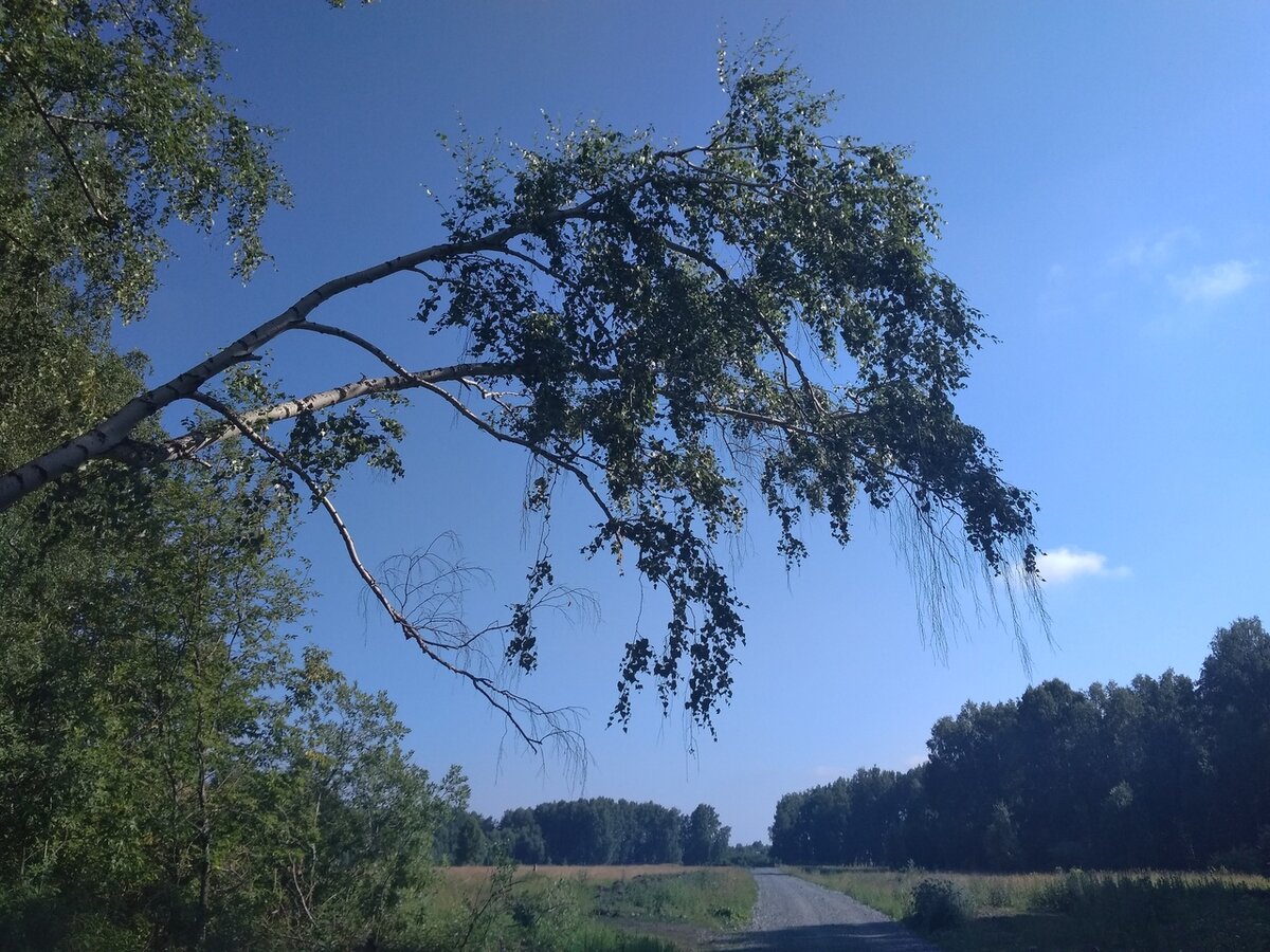 Фотография автора.