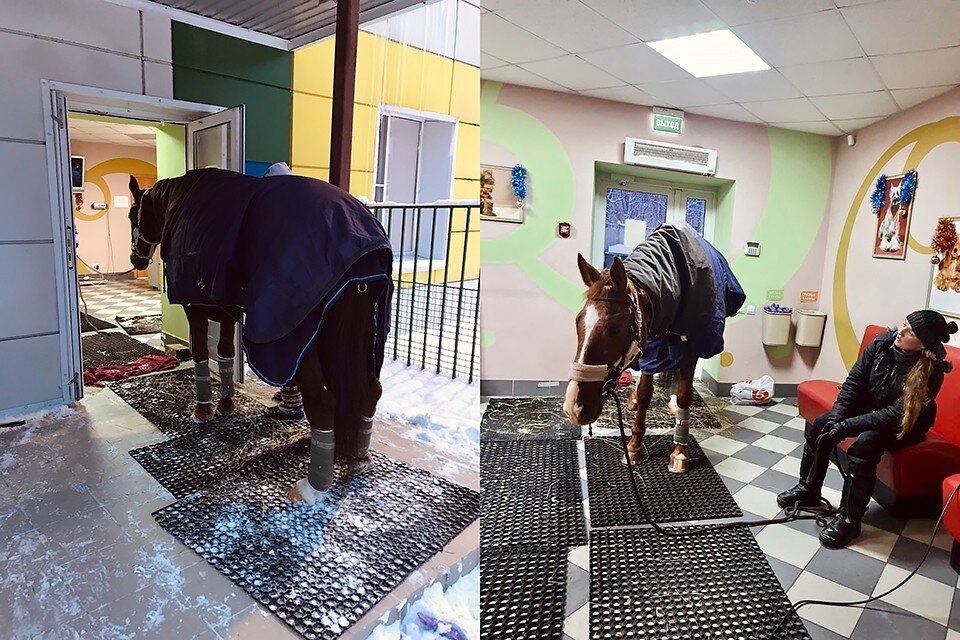     Фото: vk.com/horse_tours