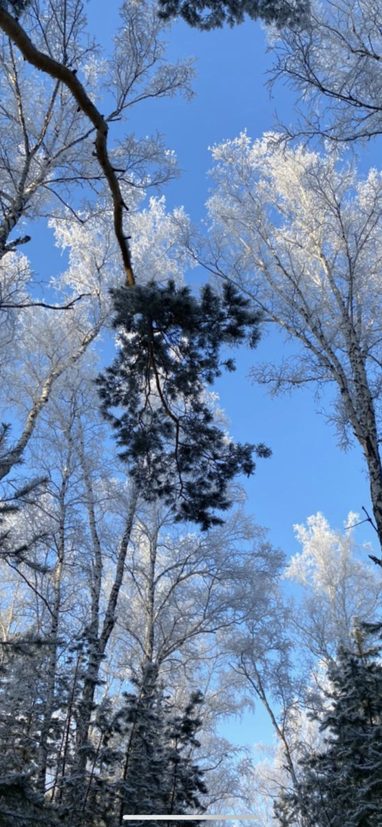 Фото автора ... С наступающим!!!❄️💙❄️