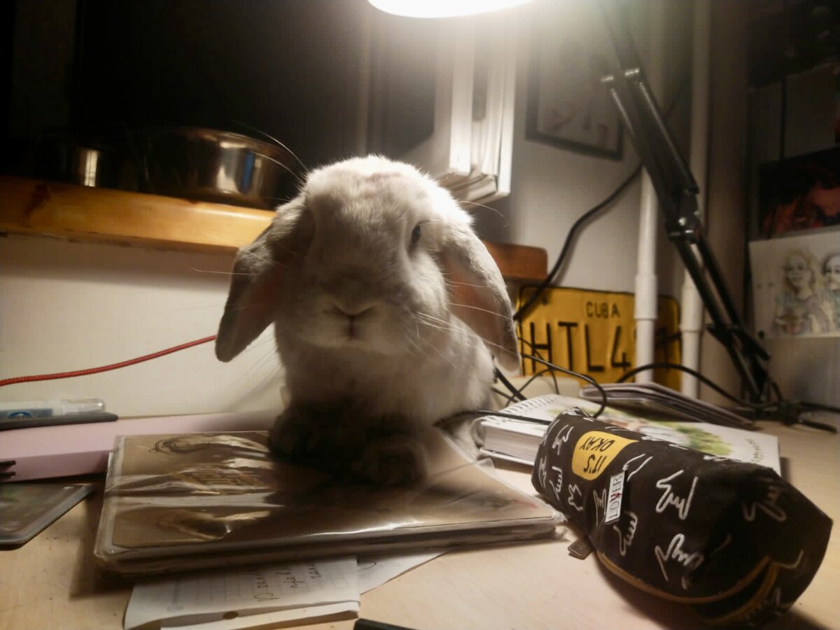 Сёма помогает делать домашнее задание