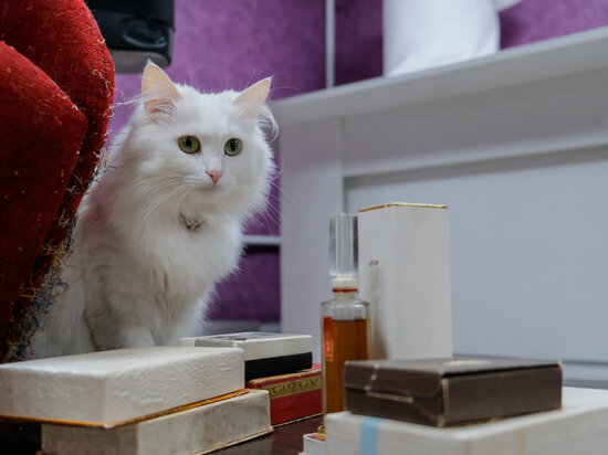 © ФОТО: ИД «ВОЛГОГРАДСКАЯ ПРАВДА» / СЕРГЕЙ КАШИРСКИЙ / АРХИВ.