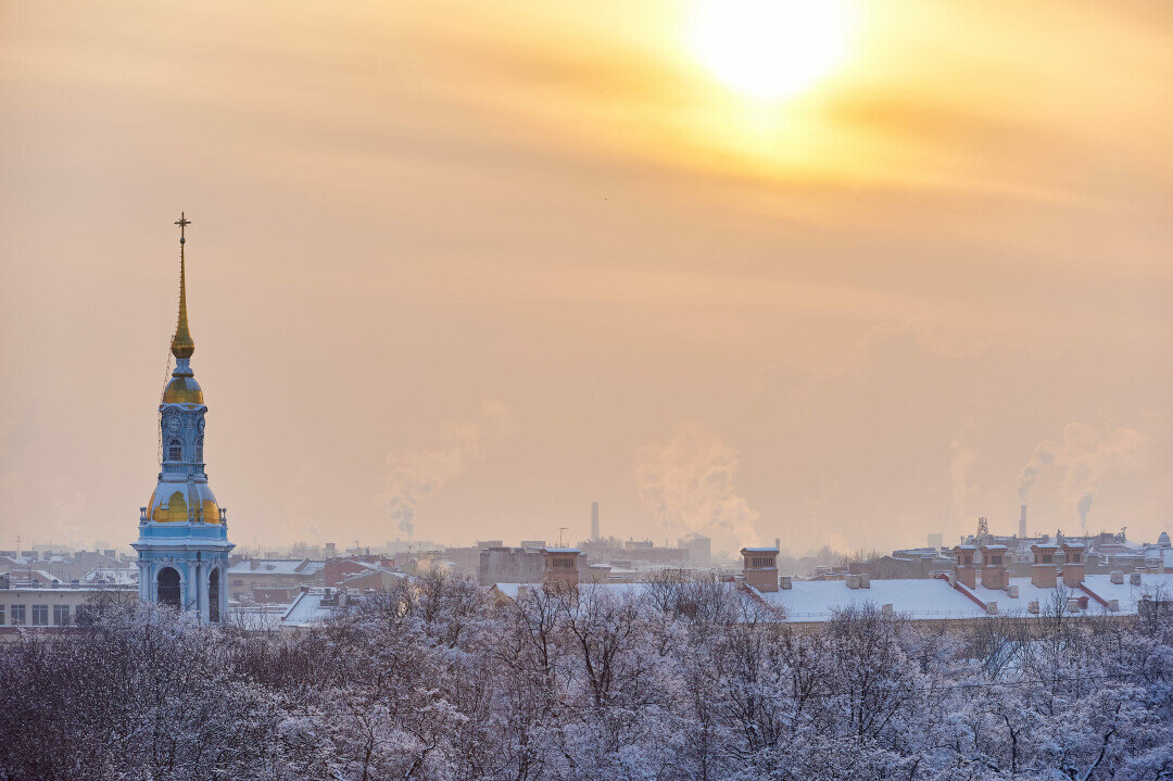    Фото: Dmitrii Iakimov/shutterstock