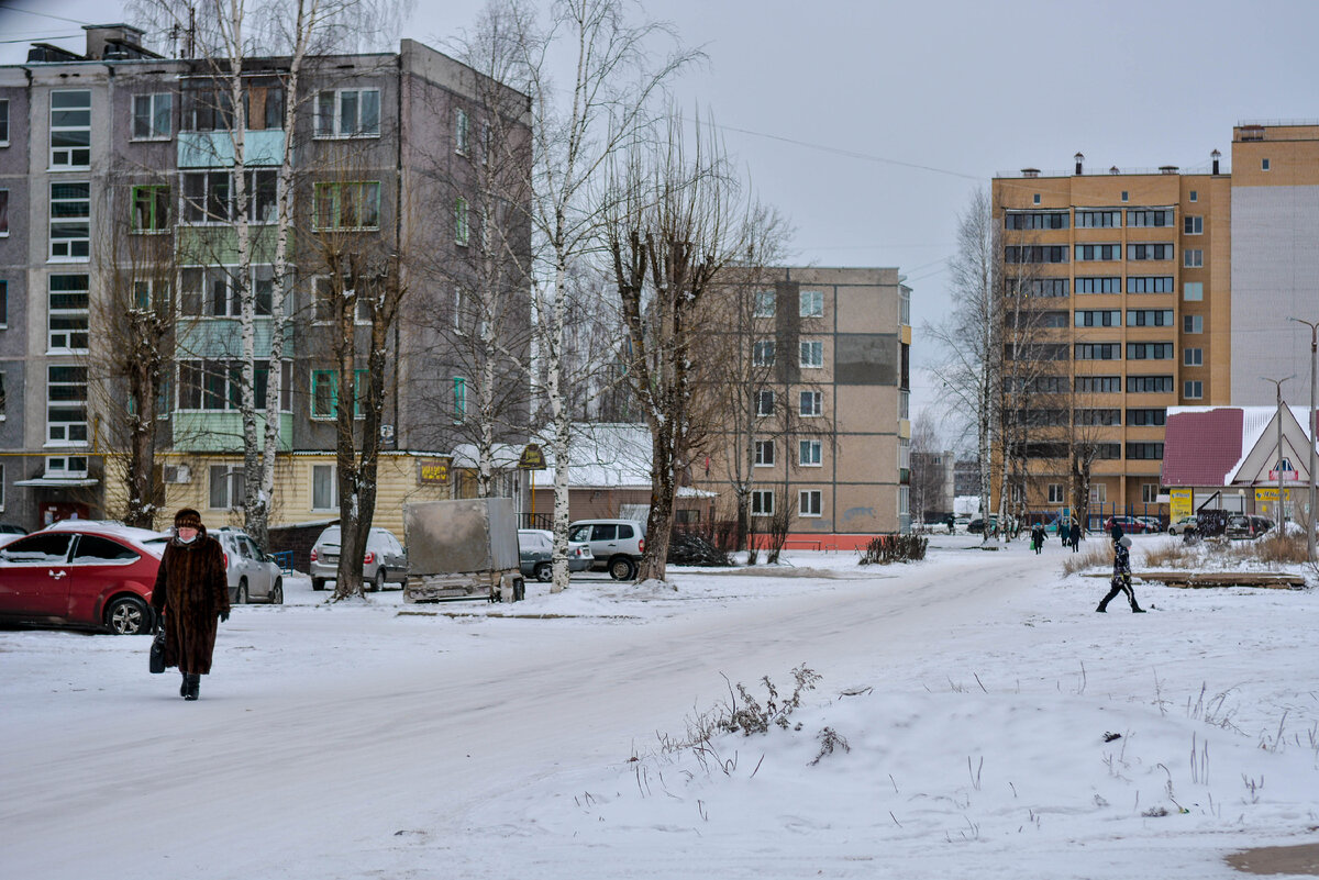 Восточная пряность Архангельской области – Коряжма | КлубСМИ | Дзен