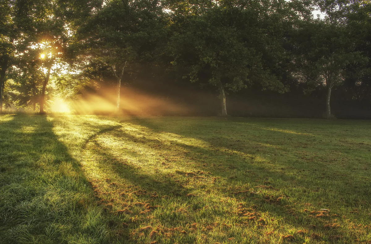 Однажды в сияющее солнечное утро