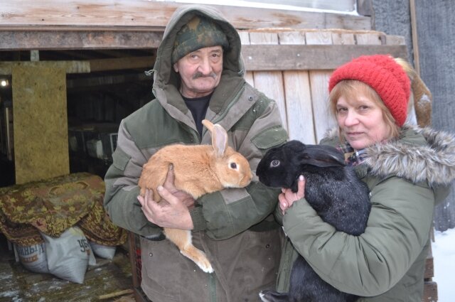    Это необычные животные, они всё чувствуют. Фото:  АиФ/ Виктор Заковряшин