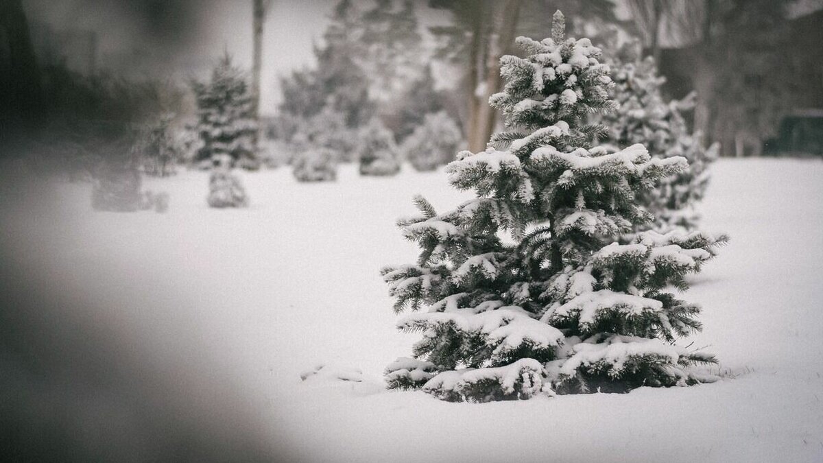     Туристы из Челябинской области едва не попали в беду при восхождении и запутались в координатах.