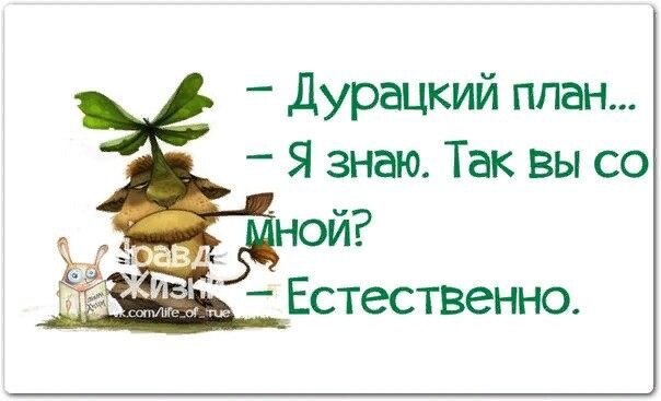 Цитаты о планах на будущее