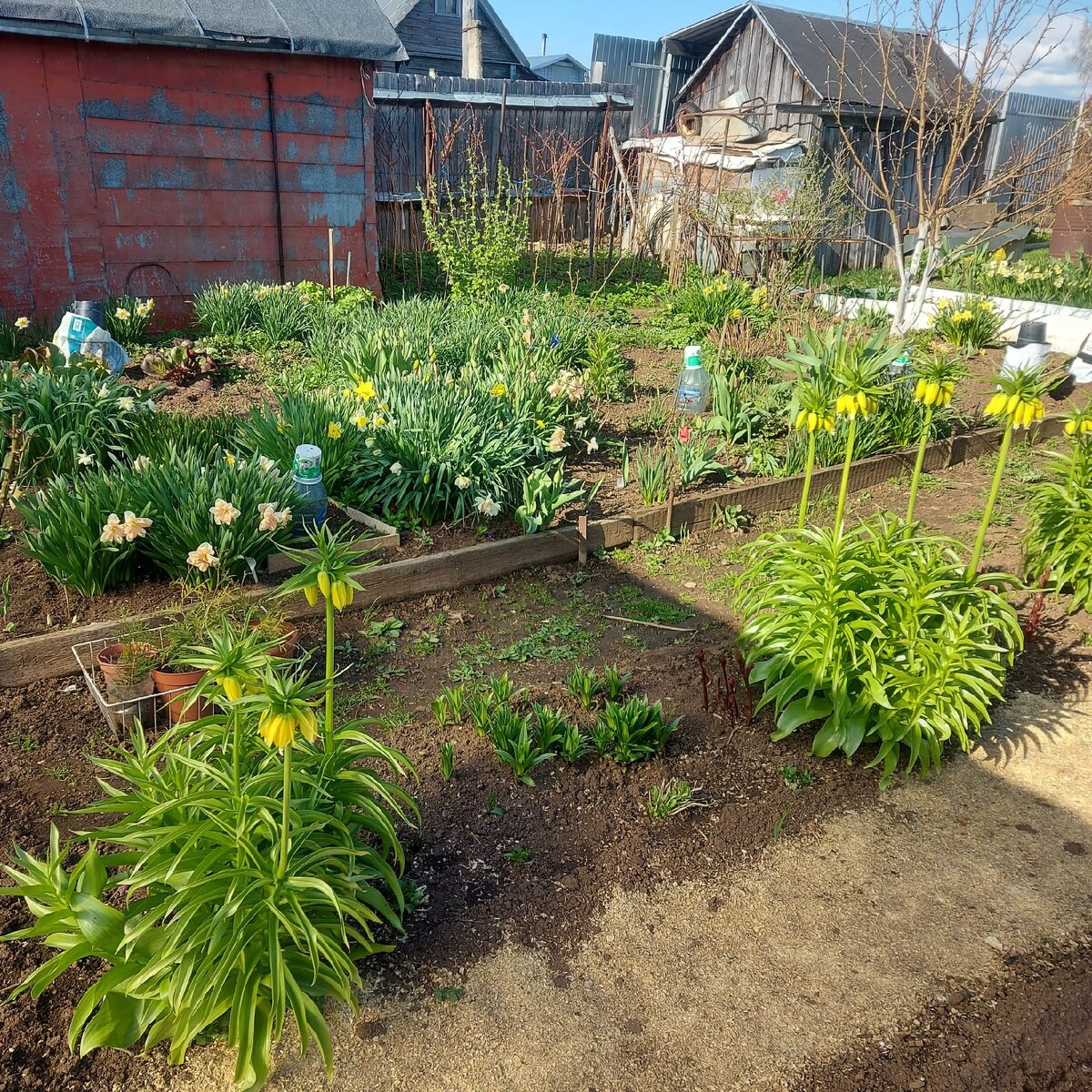 Весна 2023 года мы тебя очень ждем.