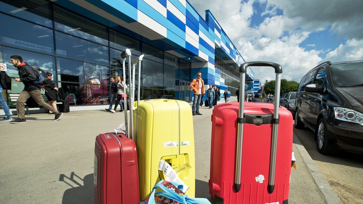    Чемоданы у здания аэропорта© РИА Новости / Сергей Мальгавко