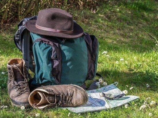     фото: pixabay.com