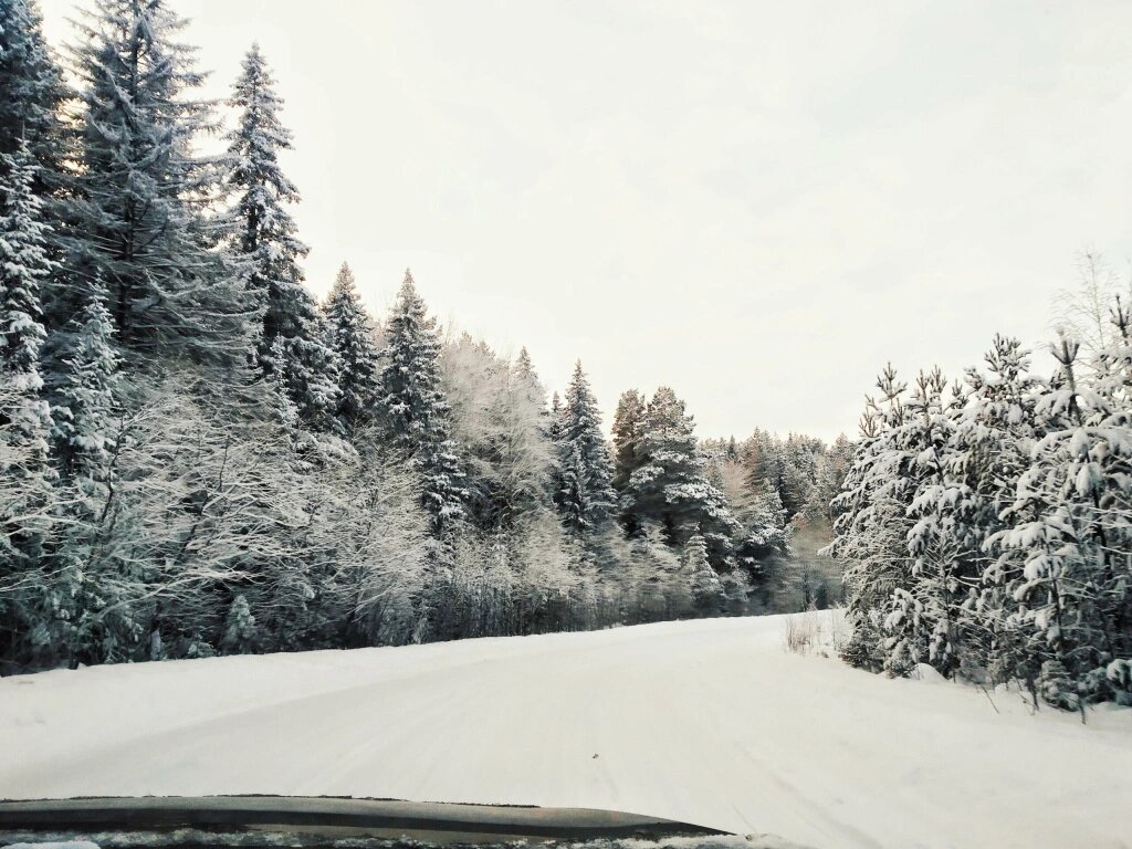 Великолепные зимние пейзажи
Фото: Арина Савина