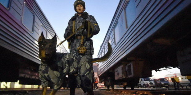 Добавьте описание