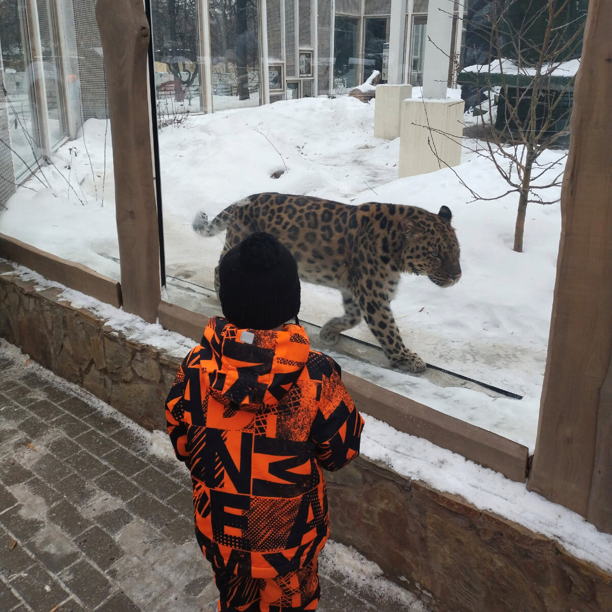 Очень приятно, царь