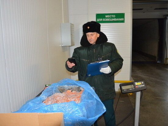     фото: Смоленская таможня