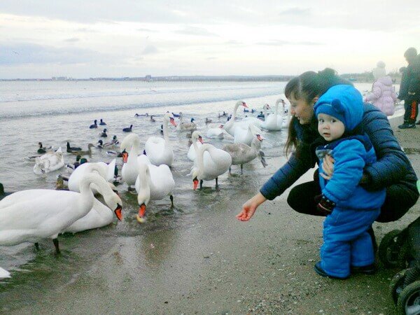    Фото: anapagorkogo11.ru