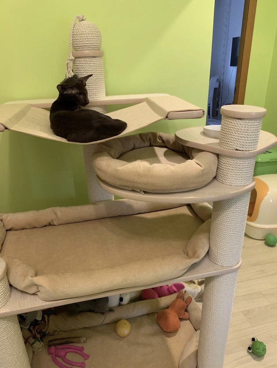 Игровой комплекс Йолли и Азарни