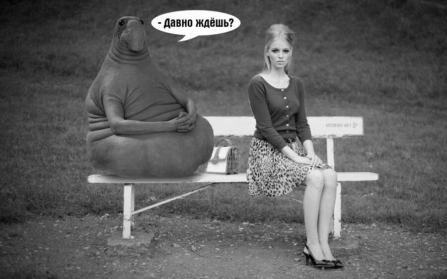 картинка: интернет