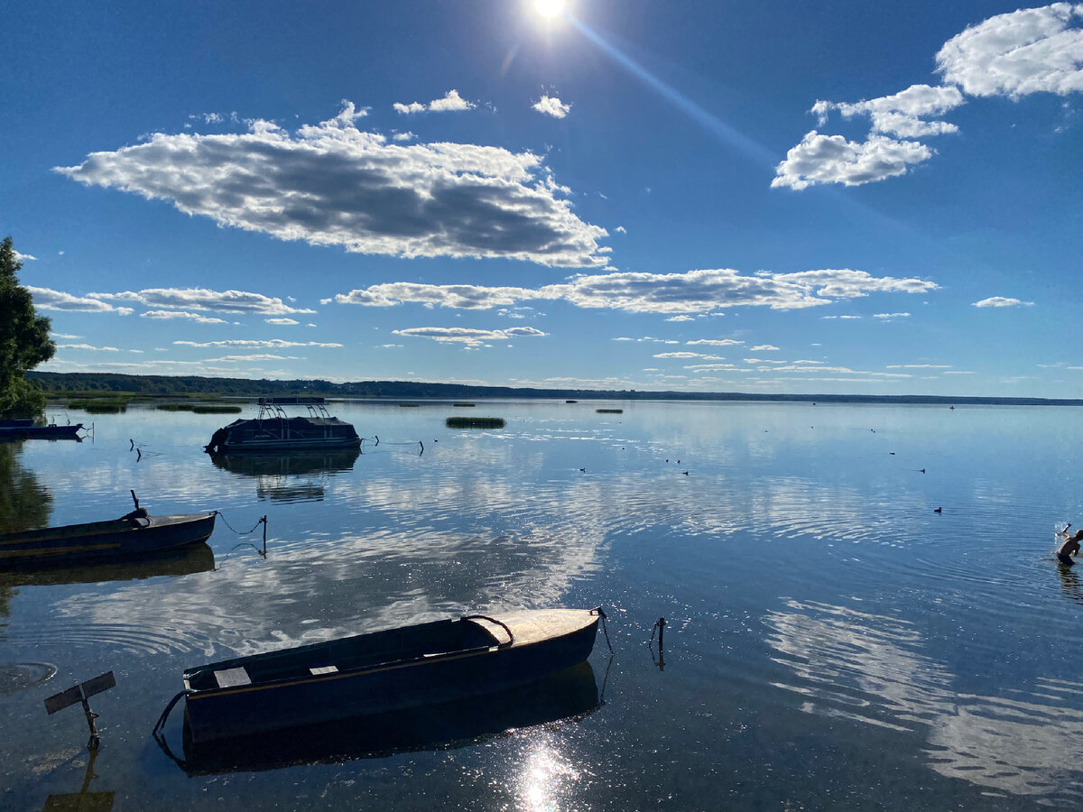 Плещеево озеро сельдь