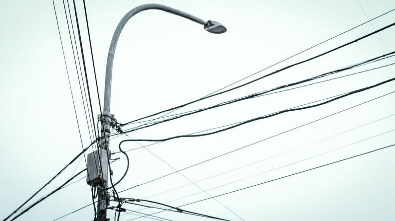     В Ростове-на-Дону садовое товарищество осталось без электричества из-за пушистого зверька, сообщили горожане в соцсети «ВКонтакте».