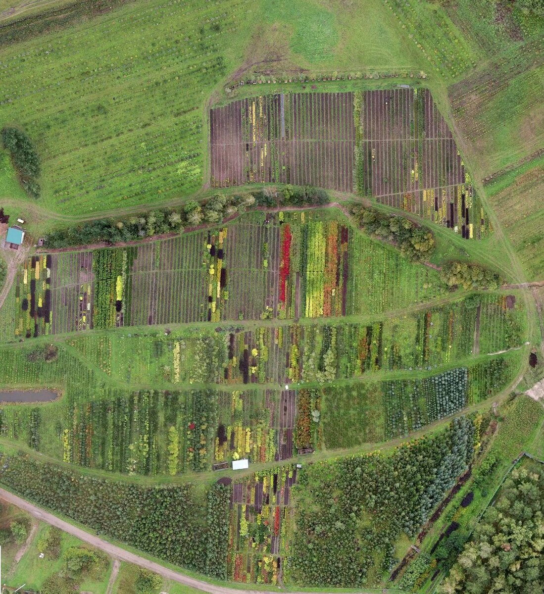 Небольшой фрагмент питомника с высоты птичьего полета