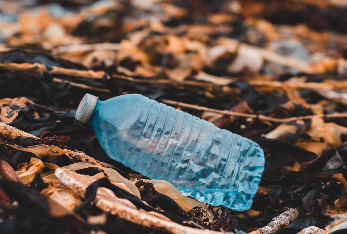    фото: unsplash.com