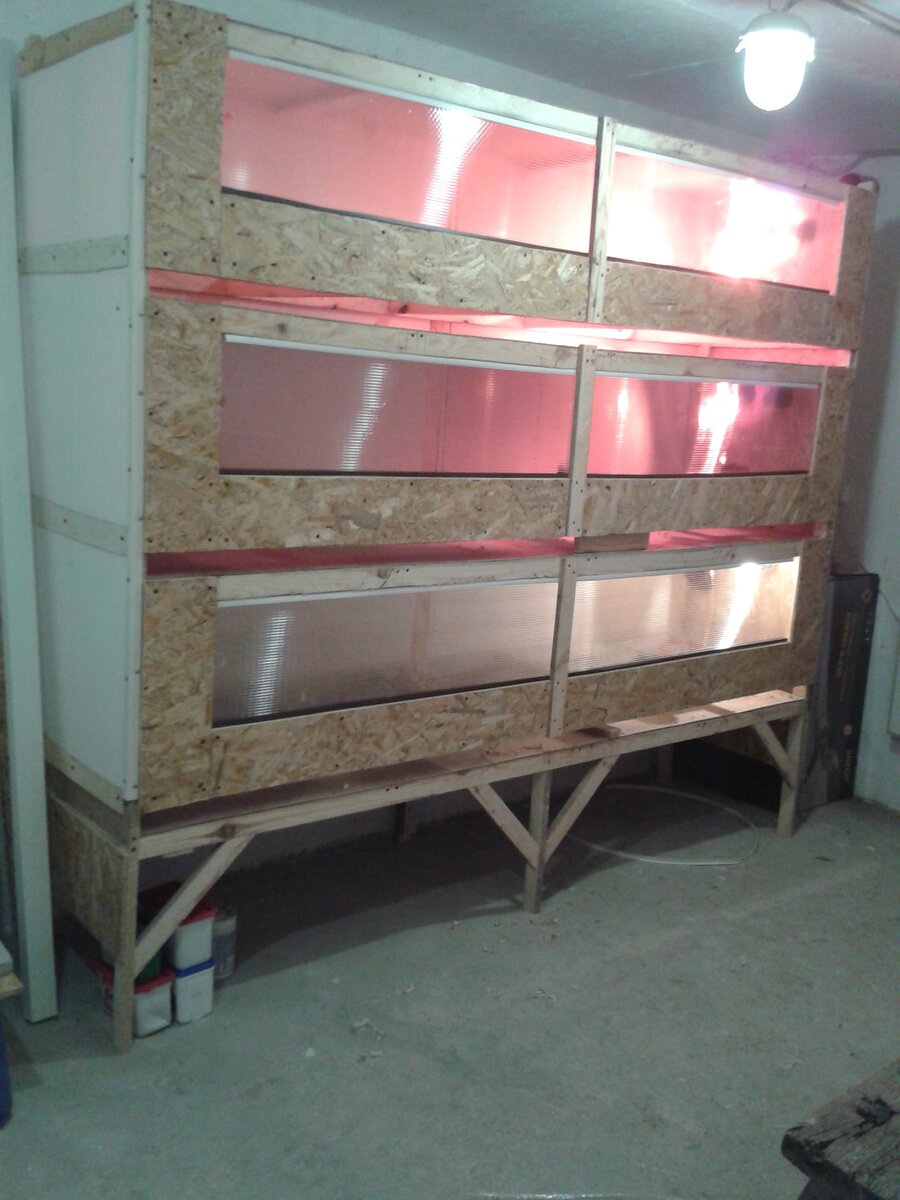 фото автора. Мой брудер.