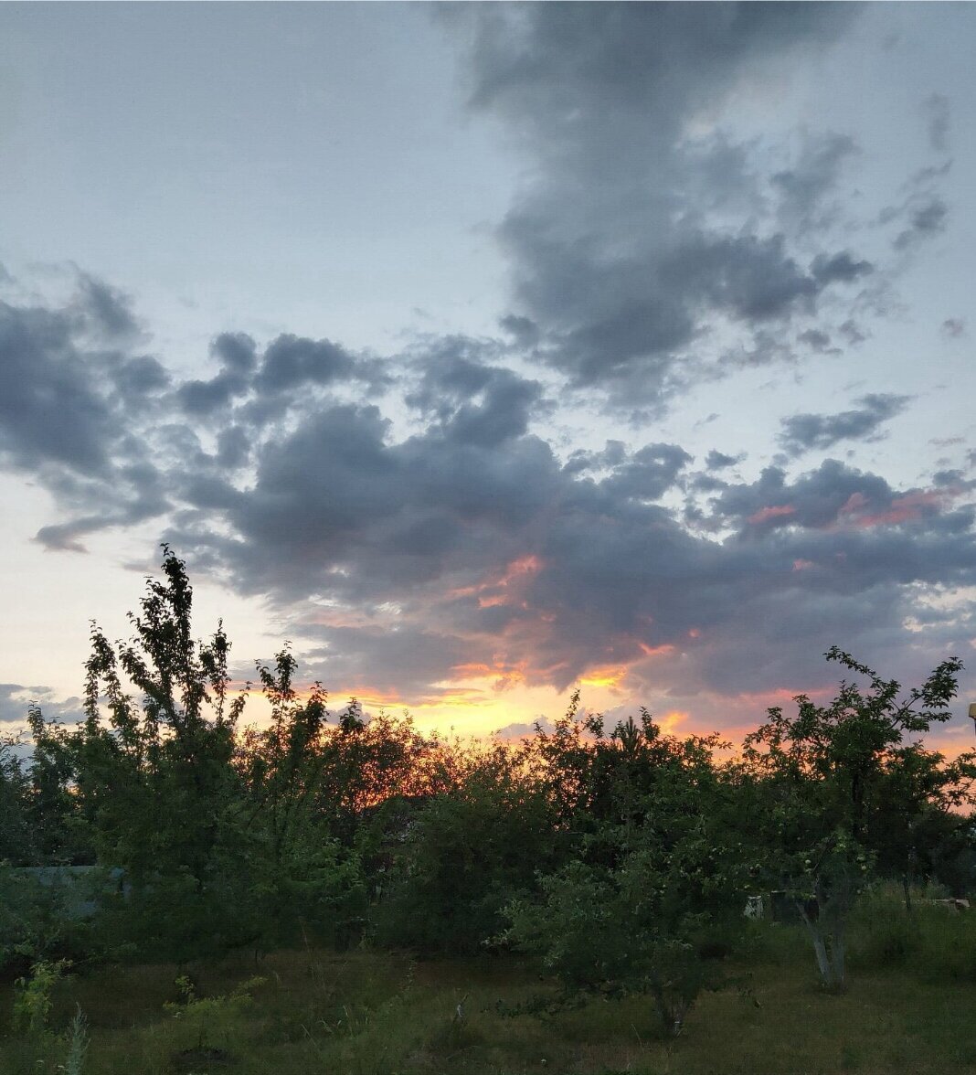 Фото из личного архива 