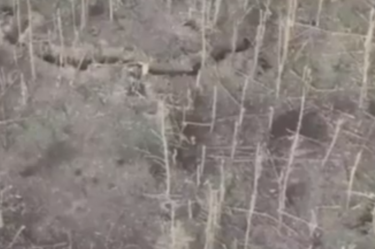    Брат военного, захватившего опорный пункт ВСУ, рассказал о его жизни