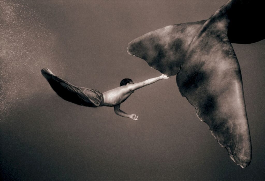    Фото: Gregory Colbert