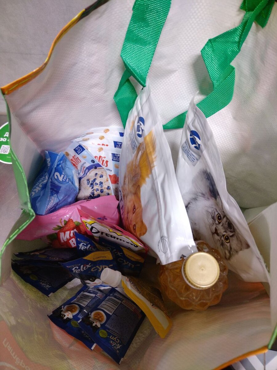 Что привозила Яна