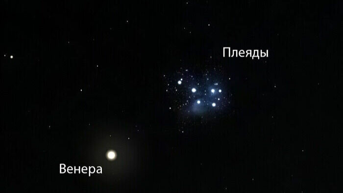     Красноярцы увидят красивое небесное явление — Венеру рядом со звездным скоплением Плеяды.