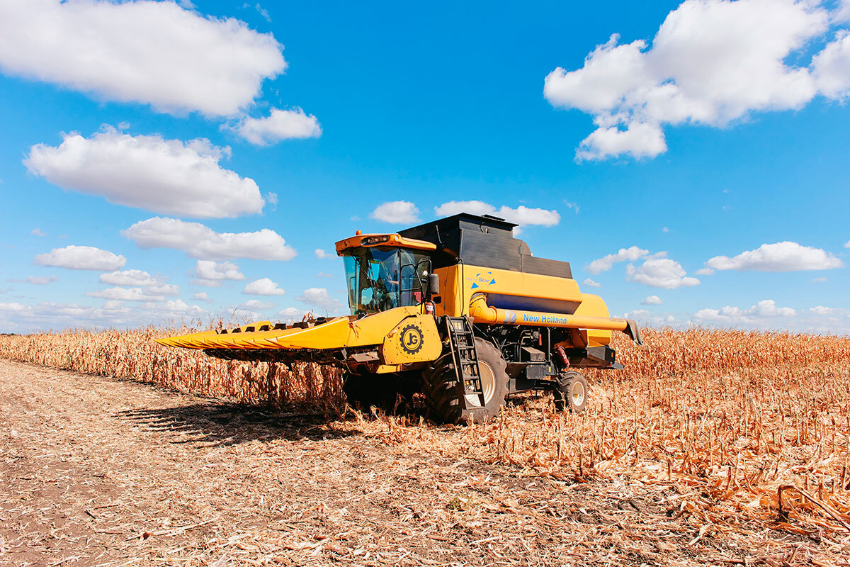    Фото: tractor / Shutterstock.com