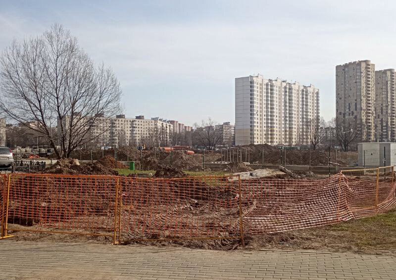    В Мытищах исчезли деревья, высаженные в рамках акции «Лес Победы»