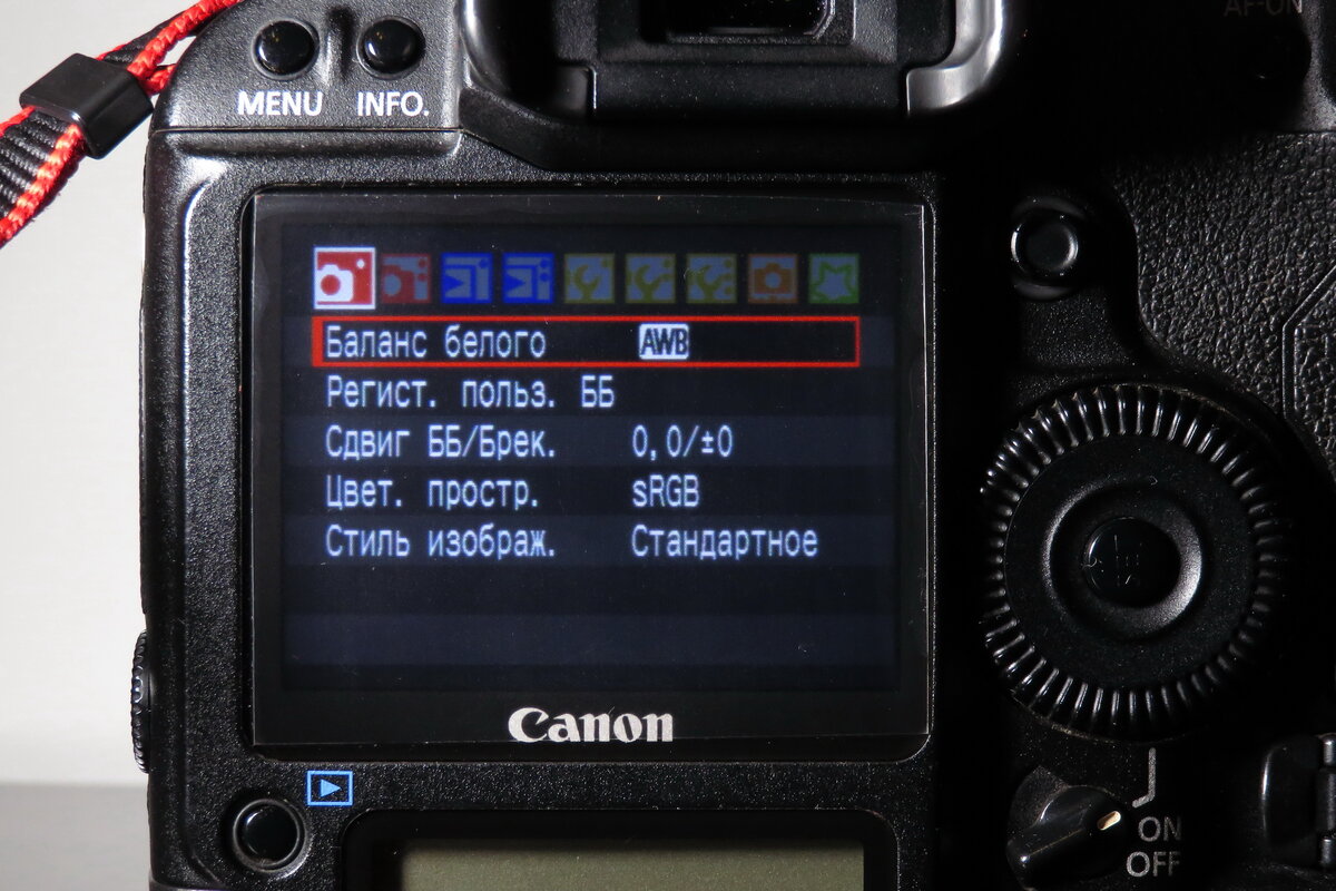 Canon EOS 1D Mark III: старая репортажная фотокамера | История цифровой  фотографии | Дзен