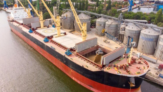    РФ на встрече в Стамбуле обсуждала вопросы нормализации экспорта зерна и удобрений Иван Обухов