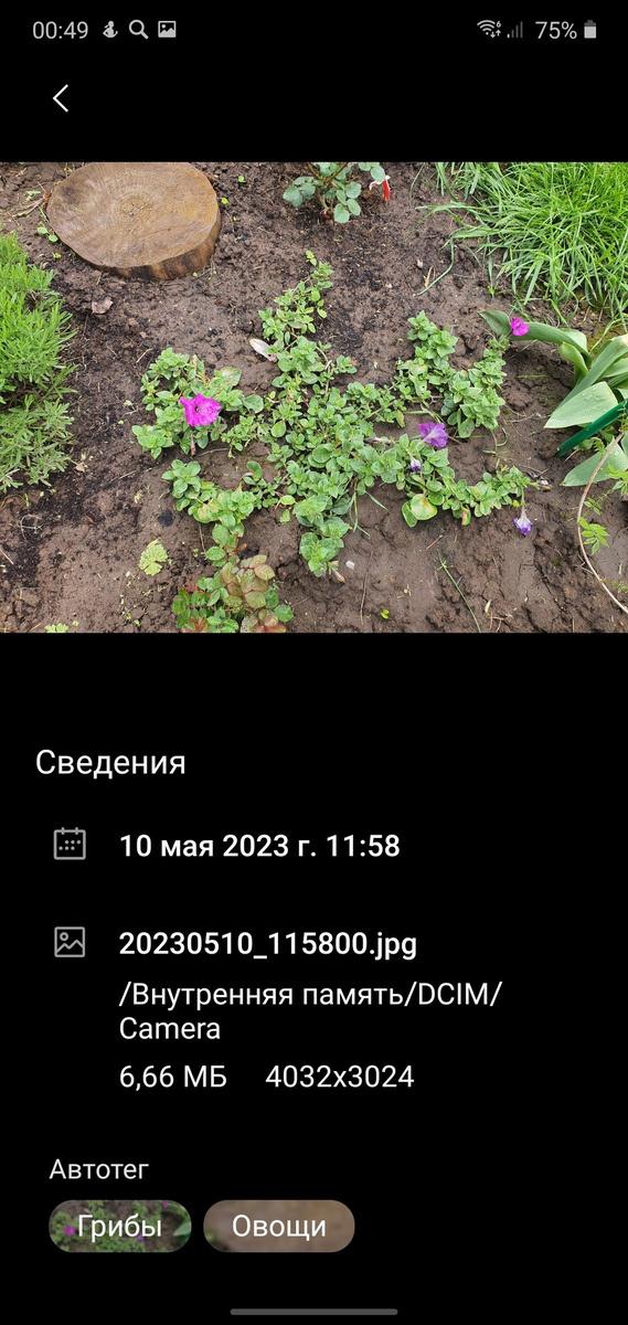 Вот так она выглядела 10 мая 2023г.