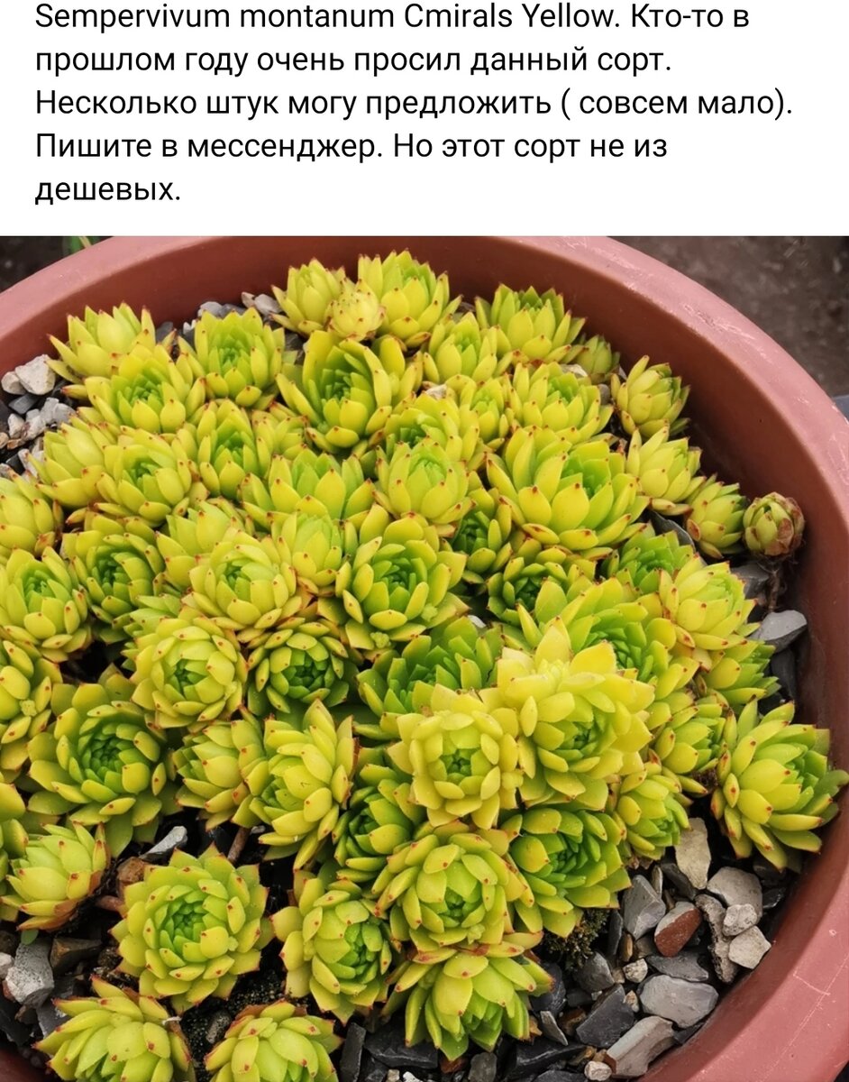 Вот она, моя прелесть. Фото Аркадия Нособина