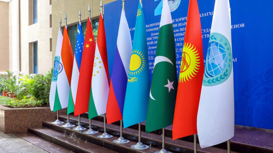    Первый под председательством Индии саммит ШОС пройдет в онлайн-формате Анастасия Романова