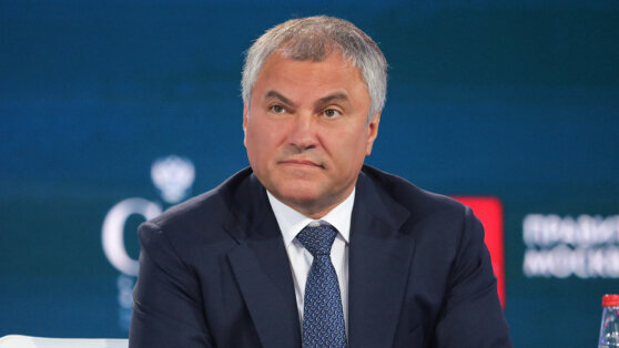    Спикер Госдумы Володин будет представлять Россию на церемонии инаугурации Эрдогана Даниил Шалонников