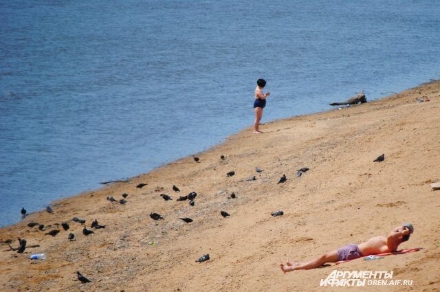    Фото:  АиФ/ Анна Мурзина