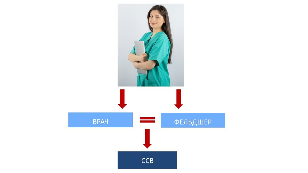 Иллюстрация А.В. Панова 