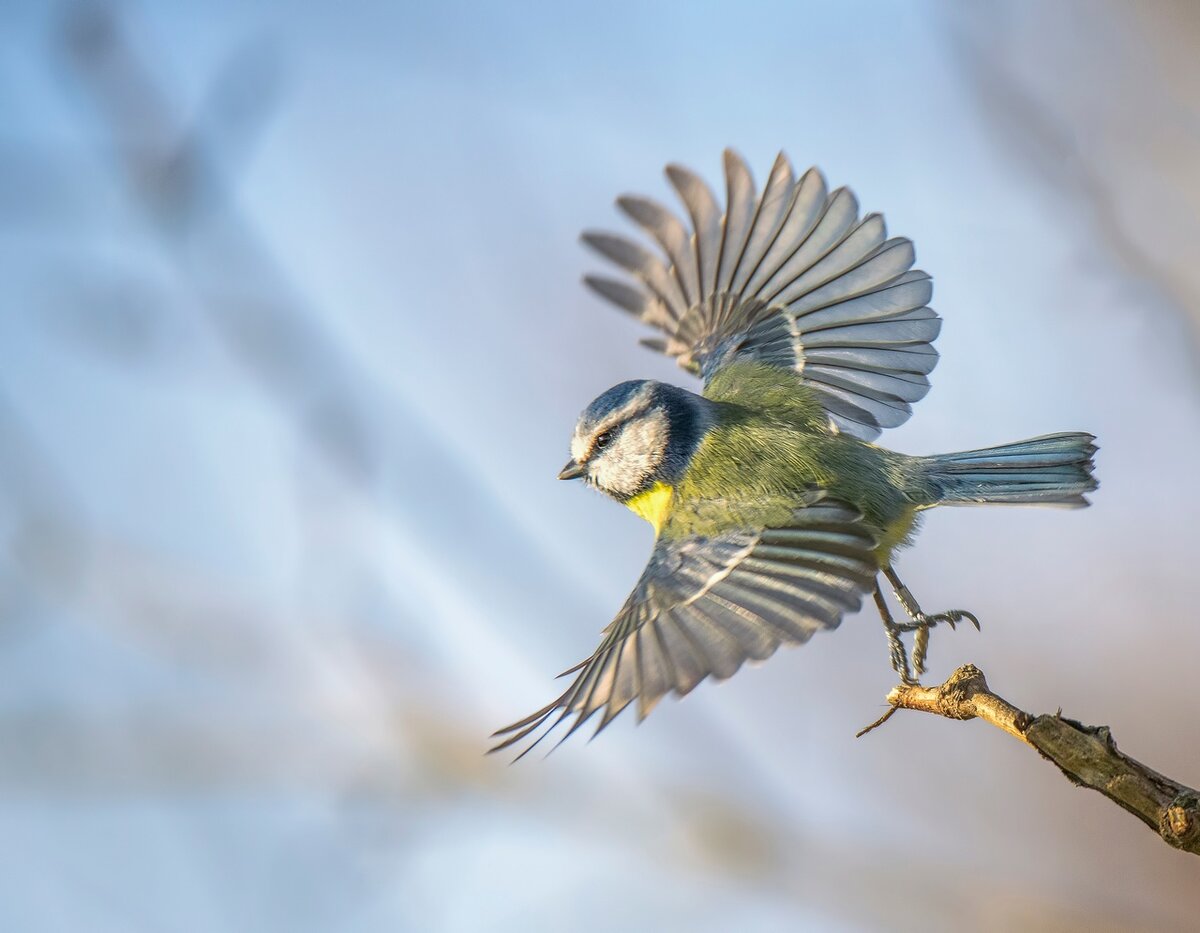 Источник фото: https://sun9-29.userapi.com/impg/dMqvQ2Fh-8Rdy8TOH_hjuh1TT_fuDi7GoCexNA/p2uGHpDpjkM.jpg?size=1280x995&quality=95&sign=dd8d4163233607d1d17a8d001ad28393&c_uniq_tag=NlN3nfnTUBEoypF8Klph2xq8ZChBPm84DhazNmFp7Yw&type=album