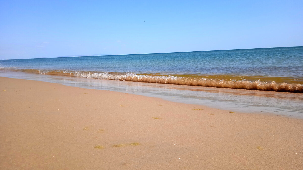 Шикарный золотой пляж недалеко от Анапы, с чистейшей водой и малым  количеством людей | Марина и море | Дзен