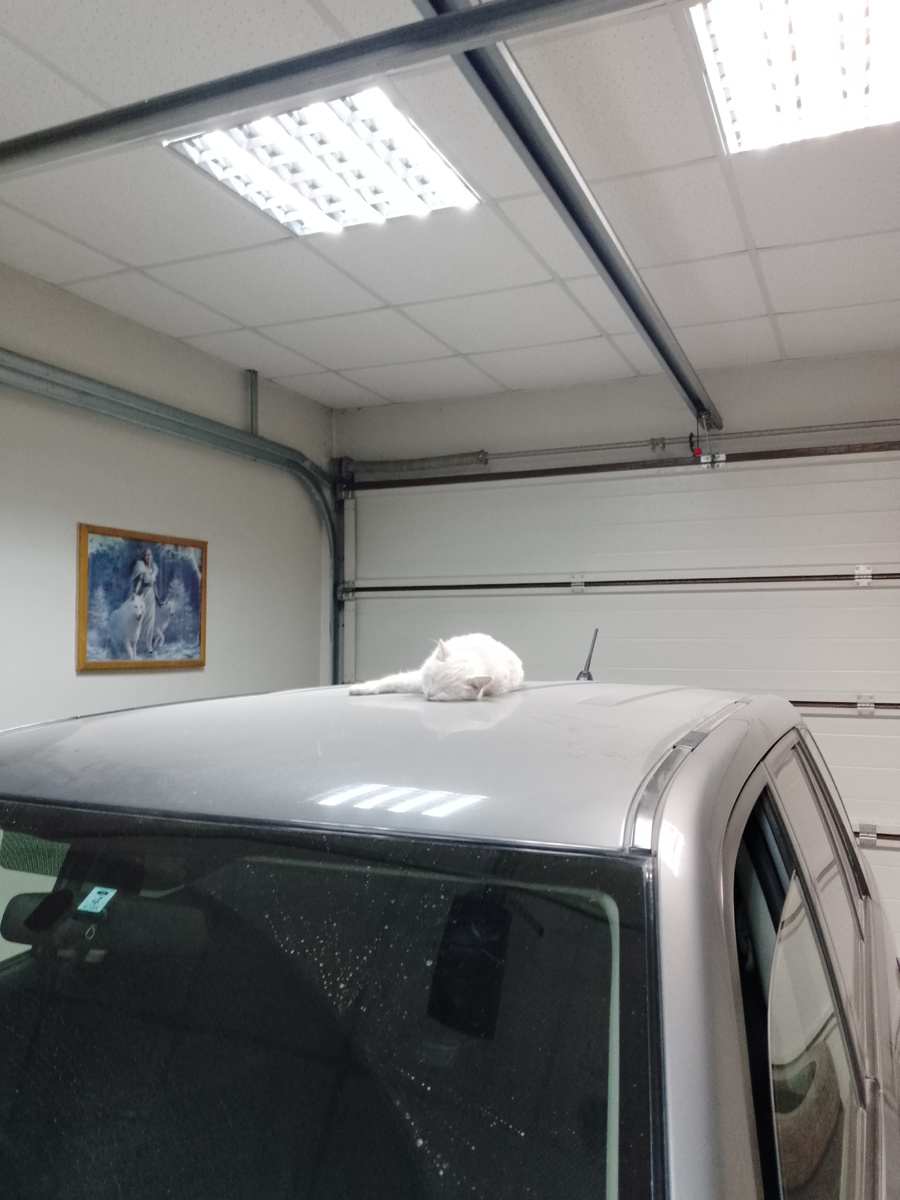 -2