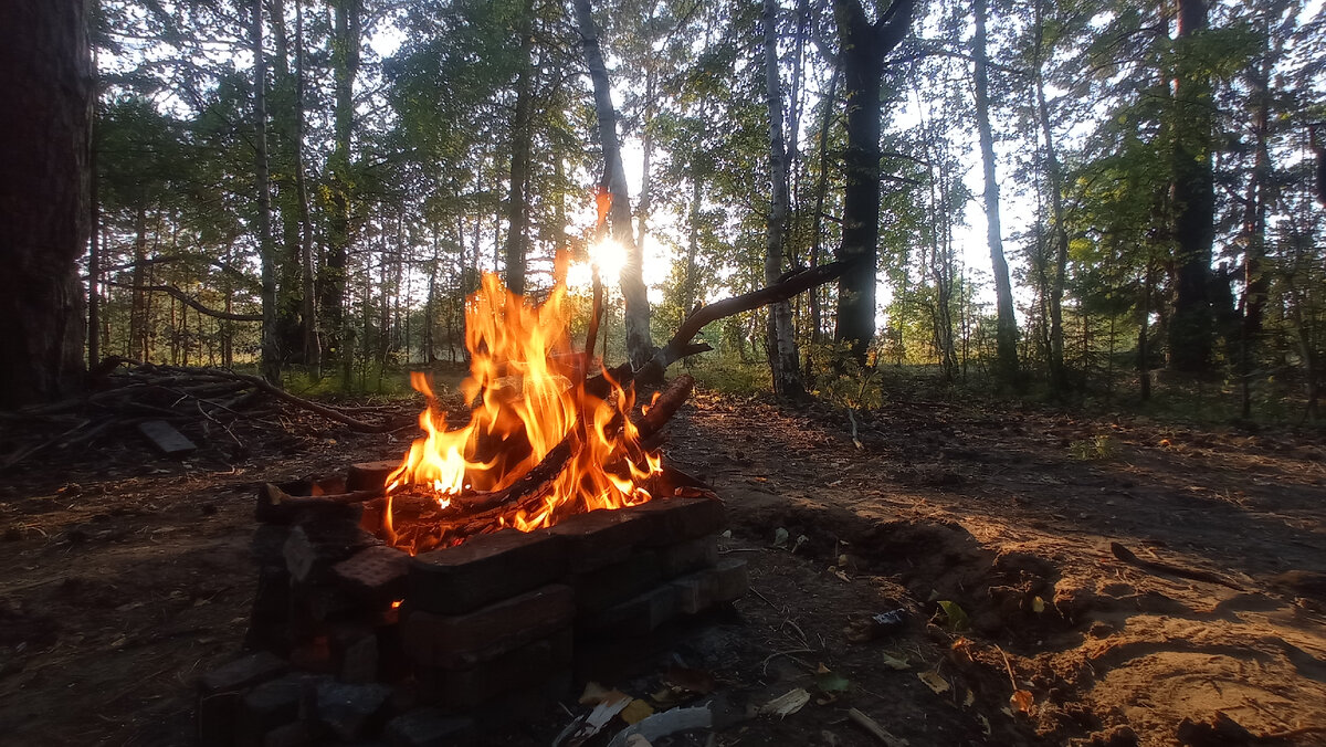 Осенний костёр в лесу