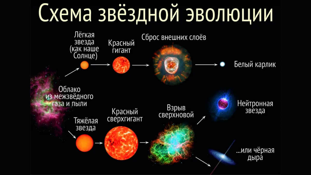 Эволюция звезд астрономия 11. Этапы развития солнца. Схема эволюции звезд. Строение и Эволюция звезд. Этапы жизни звезды.